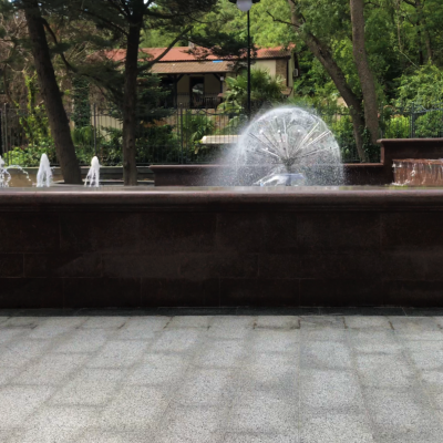 Img 4392
